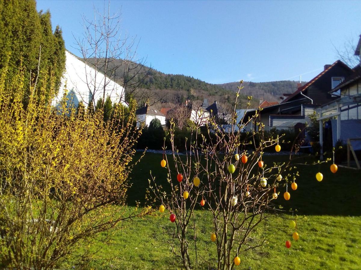 Ferienwohnung Brockenferien Bad Harzburg Exterior foto